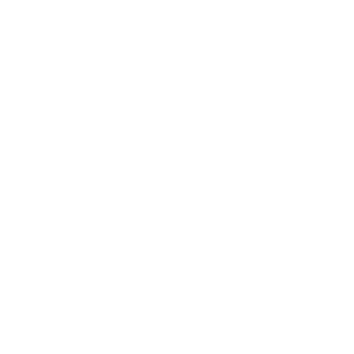 Wordpress Plugin